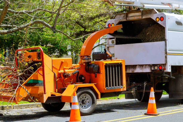 Best Tree Mulching  in Diaz, AR